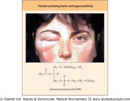 STUDENT CONSULT (ver. 2.3)