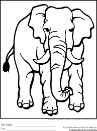 Draw a curved line across the top of the hand, and use additional curved lines to distinguish the. Endangered Animals Easy To Draw Novocom Top
