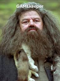 Eu tinha essa idade quando percebi que "gamekeeper" (guarda-caça)  significava "game" (caça) no sentido de vida selvagem. : r/harrypotter