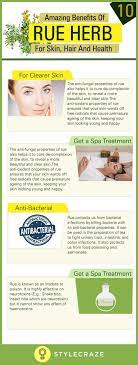 10 Amazing Benefits Of Rue Herb For Skin Hair And Health Herbs Healing Herbs Herbal Plants