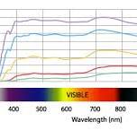 Coloured Glass Optical Filters - HOYA Optics Europe