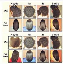 What Is Your Hair Type Natural Hair Types Hair Type Chart Natural Hair Styles