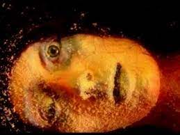 Maybe you would like to learn more about one of these? Unsolved Medical Mystery Of Ice Hibernating Woman Jean Hilliard Video Dailymotion