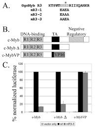 New data from the sba includes the list of more than 6.6 million companies that. A Conserved Acidic Patch In The Myb Domain Is Required For Activation Of An Endogenous Target Gene And For Chromatin Binding Molecular Cancer Full Text