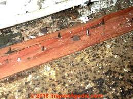 4.7 out of 5 stars. Photographic Guide To Mold Mold Growth On Or In Cars Rvs Boats Aircraft Trucks Mold On Carpets Carpet Padding Mold On Cds Mold On Cedar Mold On Ceiling Fans Mold On