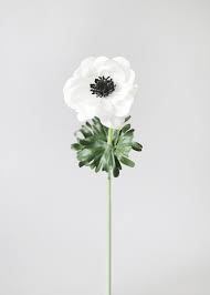 Anemone wedding anemone bouquet white wedding bouquets wedding flowers anemones anemone & thistle trailing bridal bouquet. White Anemones Real Touch Flowers Dark Blue Center For Wedding Bridal Bouquets Centerpieces Decorative Flowers Outdoor Gardening Home Living