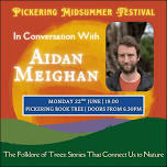 Midsummer Festival: Aidan Meighan
