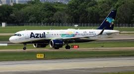 Image result for Azul 1995 Fleet