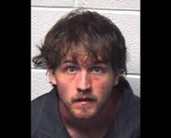 Teen caught burglarizing homes claims he was looking for lost dog, cops say 