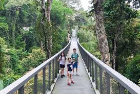 The habitat penang hill provides the most authentic, diverse and educational malaysian rainforest experience. A Trip To The Habitat At Penang Hill Happy Go Kl