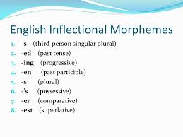 It is also called an unbound morpheme. Ppt Types Of Morphemes Powerpoint Presentation Free Download Id 2318430