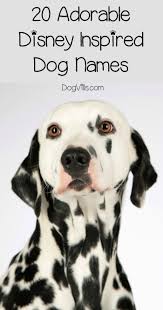 Lady (lady and the tramp). 20 Adorable Disney Inspired Dog Names For Boys Girls