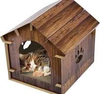 Amazon.com: El patrón de madera de la casa del gato al aire ...