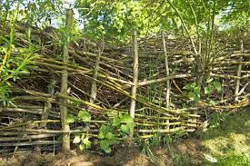 Benjeshecke Lebensraum Fur Tiere Naturnaher Garten Naturgarten Landschaftsgartner