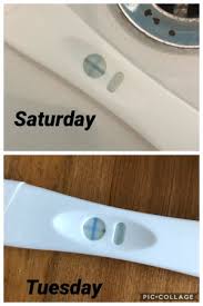 Comparing Pregnancy Test Babycentre