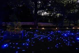 Tiny Blue Lights In The Garden Seem Like Fireflies Light Photography Backdrops Firefly