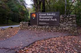 Different national parks have campsites that have parking spaces of different sizes. 2020 Guide National Parks Rv Length Every Park The Roving Foley S