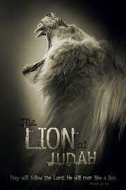 While jesus was all these things, there is another description of jesus in scripture that is the complete opposite of him as a lamb. Lion Of Judah Quotes Quotesgram