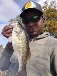 Does anyone else have a problem with live bream dying quick