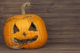 Unique diy projects · delicious family recipes How Long Do Pumpkins Last Minnetonka Orchards