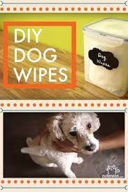Make Your Own Dog Bath Wipes In Minutes Choose From Deodorizing Or Moisturizing Ingredients To Get Exactly What Your Pooch N Diy Dog Stuff Smelly Dog Dog Bath