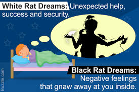 Dream of rat in a cage is not a good dream. What Does It Truly Mean When You Dream About Rats Psychologenie