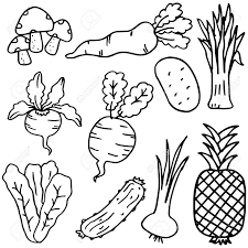 Hand Zeichnen Doodle Gemuse Und Obst Lizenzfrei Nutzbare Vektorgrafiken Clip Arts Illustrationen Image 72191245
