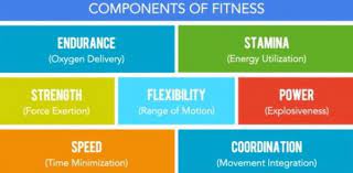 Our online health and fitness trivia quizzes can be adapted to suit your requirements for taking some of the top health and fitness quizzes. An Ultimate Quiz On Components Of Fitness Trivia Questions And Facts Proprofs Quiz