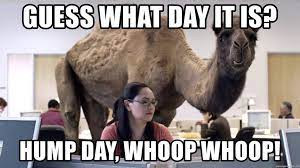 Top 18 Happy Hump Day Memes Funny Hump Day Memes Hump Day Quotes Hump Day Humor