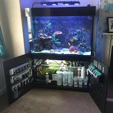 Smart Way To Install Marine Salt Aquarium I Ll Keep It In Mind My Blog Dezdemon Exoticfish Top Ideias Para Aquario Aquario De Agua Salgada Aquario De Corais