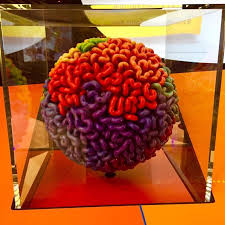 This free resource contains a variety of courses, in over 30 languages, for eager learners of all ages, and,. Genome Unlocking Life S Code At The Health Museum 365 Houston