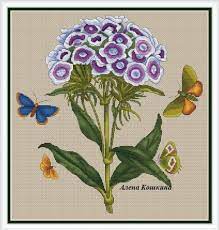 If you've cross stitched before, you likely already know what to look for in a pattern. Pin On Himzes