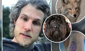 Travis Van Winkle saves his dog from two hungry coyotes, says it was  'scary'