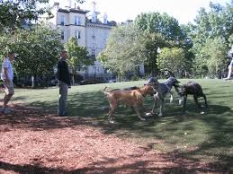 The parks at winkelman and pcc have grass enclosures that close during winter months; Pin On Pet Beds Etc 1 Of 2