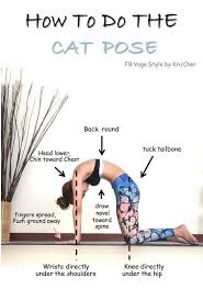 Yoga Pose How To Do The Cat Pose Click For T Shirt Yoga Design Limited Edition Yoga Asanas Basic Yoga Poses Cat Pose Yoga