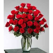 We did not find results for: Rose Flower Meanings By Their Color Variety And Numbers