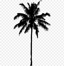 Palm tree sunset clipart black and white. Palm Tree Crayon Drawing Drawing With Crayons