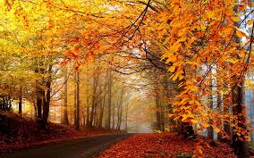 متن جایگزین