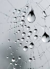 Crochet Photography Water Droplets White Photography
