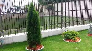 Veți spune, probabil, că nu sunt deloc ieftine. Gradina Amenajata Cu Flori È™i Gazon Youtube