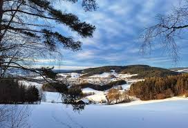 Durch den bewaldeten berg reichen viele wanderwege hinauf bis zum aussichtsturm. Lasberg