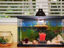 Includes 12 months of unlimited admission, discounts on meals, parking, gift shop purchases, and select encounters & events + supports ocean conservation. Converting From A Freshwater To Saltwater Aquarium