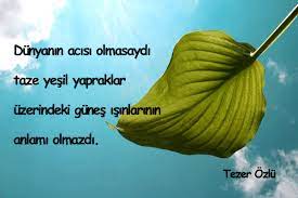 Yesil Ile Ilgili Guzel Sozler Super Guzel Sozler Yesil Yesil Gozler Guzel Soz