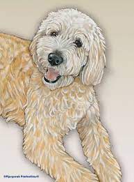 Buy large garden statues and get the best deals at the lowest prices on ebay! Labradoodle Garden Flag 12 5 X 18 In
