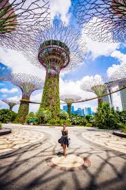Compare our cheapest travel insurance package and choose the best plan that suit your needs. A Singapore Icon Gardens By The Bay Pics Tickets Hours Tips