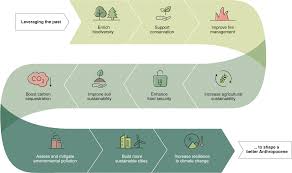 Check spelling or type a new query. Mobilizing The Past To Shape A Better Anthropocene Nature Ecology Evolution