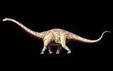La plupart des paléontologues soupçonnent que le sauropode exceptionnellement lourd seismosaurus était en fait un individu de longue durée de diplodocus; Langster Dinosaurier Zurechtgestutzt Seismosaurus Verliert Bei Neuschatzung 20 Meter Lange Scinexx De