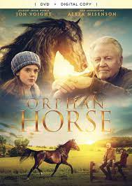 Best Buy Orphan Horse Dvd 2018 In 2021 Horse Movies Really Good Movies Movies To Watch