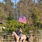 CGA District 50 Veterans Day Show event image