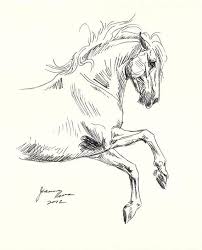 Horse Art Original Pen Ink Horse Drawing Sketch Andalusian Etsy Horse Art Horse Drawings Horse Art Drawing